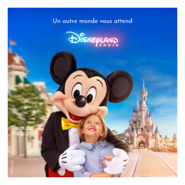 Disneyland Paris E-billet Flex 1 Jour 2 Parcs Tarif Unique Valable 1 an