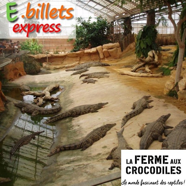La ferme aux crocodiles E-Billet  1 jour Adulte dès 13 ans Validité 17/04/2027