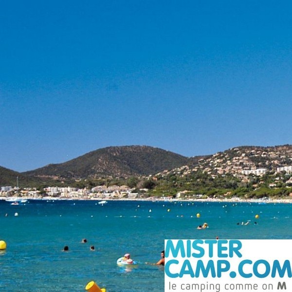Mistercamp Jusqu'à -20%