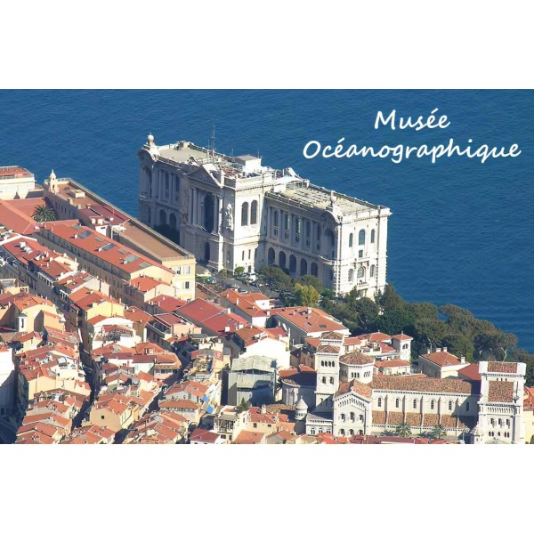 Musée Océanographique de Monaco E Billet Enfant Validité 11/02/2027