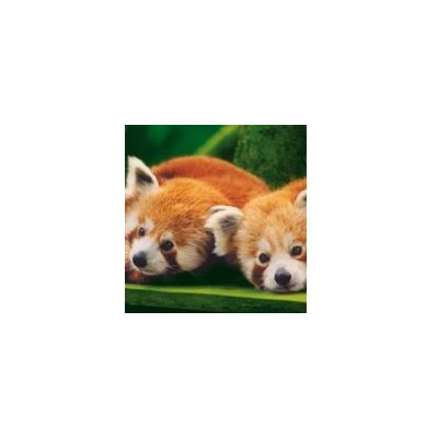 Parc animalier &amp; botanique  de Branféré E-Billet Adulte par Avantages Enseignants