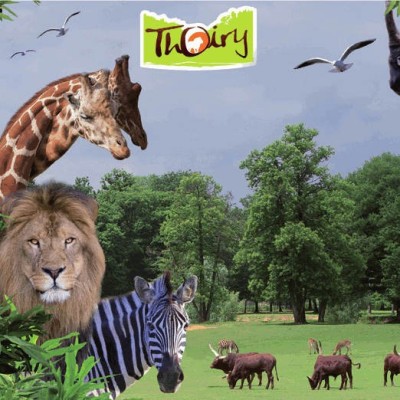 Zoo safari de thoiry Ebillet* Enfant par Avantages Enseignants