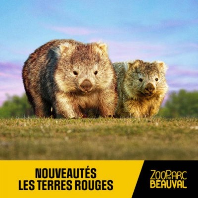 Zooparc de beauval - 2 jours -E Billet Enfant par Avantages Enseignants