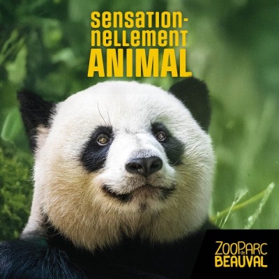 Zooparc de beauval - 2 jours -E Billet Enfant par Avantages Enseignants