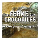 La ferme aux crocodiles